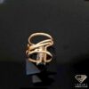 ring (115)