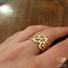 ring (137)