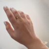 ring (155)
