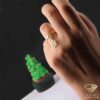 ring (30)