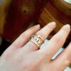 ring (53)