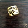 ring (113)