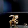 ring (119)