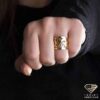 ring (15)