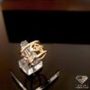 ring (47)