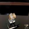 ring (165)