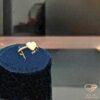 ring (84)