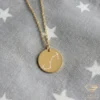 14k Gold Zodiac Constellation Necklace Scorpio